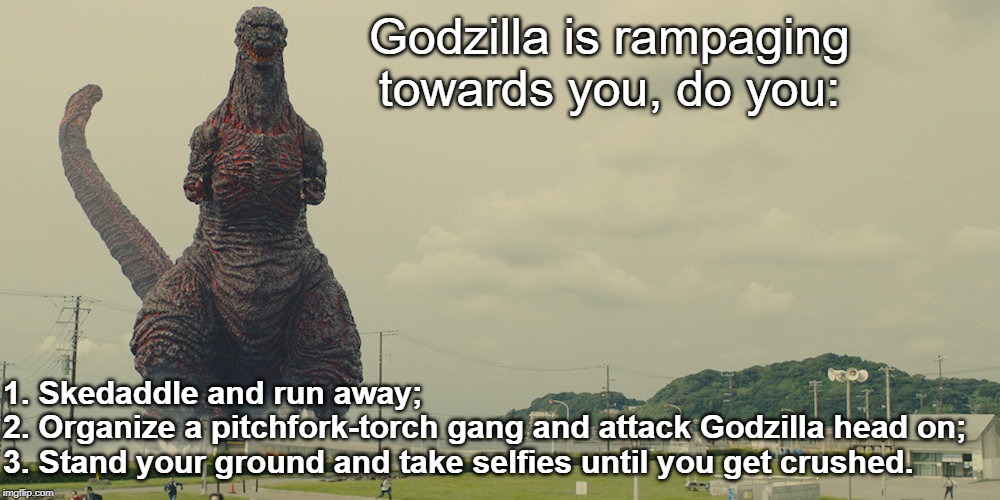 Godzilla is rampaging towards you, do you:; 1. Skedaddle and run away;
2. Organize a pitchfork-torch gang and attack Godzilla head on;
3. Stand your ground and take selfies until you get crushed. | image tagged in godzilla,fight or flight,selfie | made w/ Imgflip meme maker