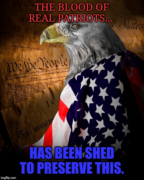 America | THE BLOOD OF REAL PATRIOTS... HAS BEEN SHED TO PRESERVE THIS. | image tagged in patriotism | made w/ Imgflip meme maker