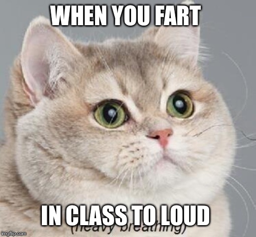 Heavy Breathing Cat Meme | WHEN YOU FART; IN CLASS TO LOUD | image tagged in memes,heavy breathing cat | made w/ Imgflip meme maker