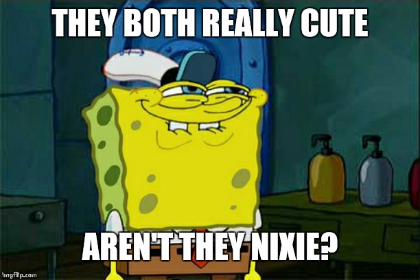 Don't You Squidward Meme | THEY BOTH REALLY CUTE AREN'T THEY NIXIE? | image tagged in memes,dont you squidward | made w/ Imgflip meme maker