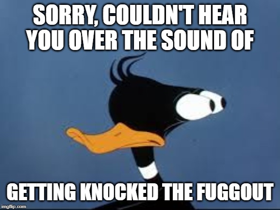Daffy Duck | SORRY, COULDN'T HEAR YOU OVER THE SOUND OF GETTING KNOCKED THE FUGGOUT | image tagged in daffy duck | made w/ Imgflip meme maker