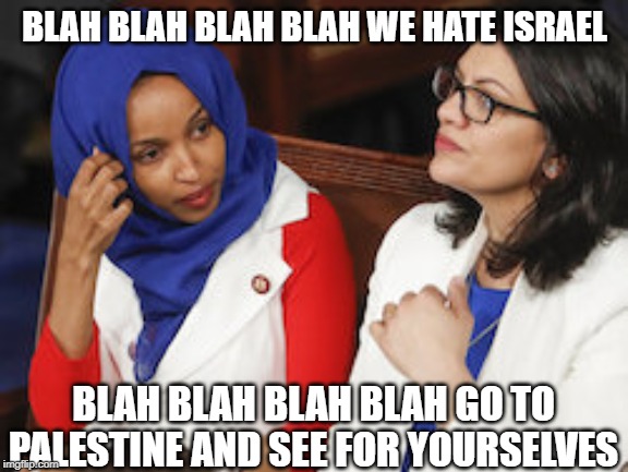 Sacred Cows | BLAH BLAH BLAH BLAH WE HATE ISRAEL; BLAH BLAH BLAH BLAH GO TO PALESTINE AND SEE FOR YOURSELVES | image tagged in reps ilhan omar rashida tlaib | made w/ Imgflip meme maker