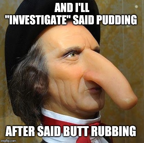 funny nose | AND I'LL "INVESTIGATE" SAID PUDDING AFTER SAID BUTT RUBBING | image tagged in funny nose | made w/ Imgflip meme maker