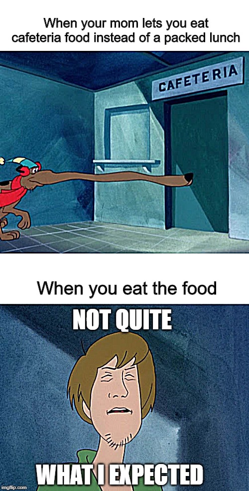 shoulda been happy with scooby snax | When your mom lets you eat cafeteria food instead of a packed lunch; When you eat the food; NOT QUITE; WHAT I EXPECTED | image tagged in scooby doo,shaggy,memes,school,school lunch,cafeteria | made w/ Imgflip meme maker