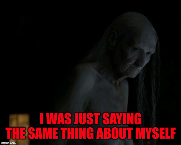 Melisandre no makeup | I WAS JUST SAYING THE SAME THING ABOUT MYSELF | image tagged in melisandre no makeup | made w/ Imgflip meme maker