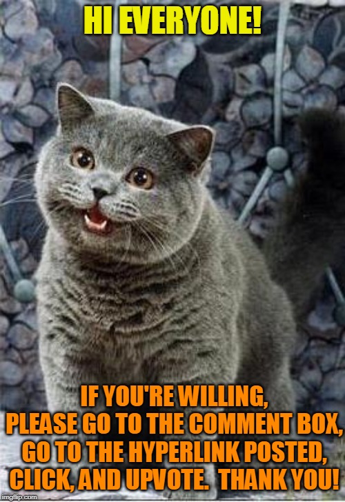 I can has cheezburger cat | HI EVERYONE! IF YOU'RE WILLING, PLEASE GO TO THE COMMENT BOX, GO TO THE HYPERLINK POSTED, CLICK, AND UPVOTE.  THANK YOU! | image tagged in i can has cheezburger cat | made w/ Imgflip meme maker