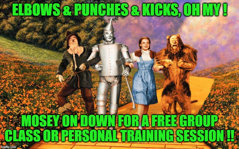 We're off to see the wizard | ELBOWS & PUNCHES & KICKS, OH MY ! MOSEY ON DOWN FOR A FREE GROUP CLASS OR PERSONAL TRAINING SESSION !! | image tagged in wizard of oz,martial arts,muay thai,submissions,boxing,love | made w/ Imgflip meme maker