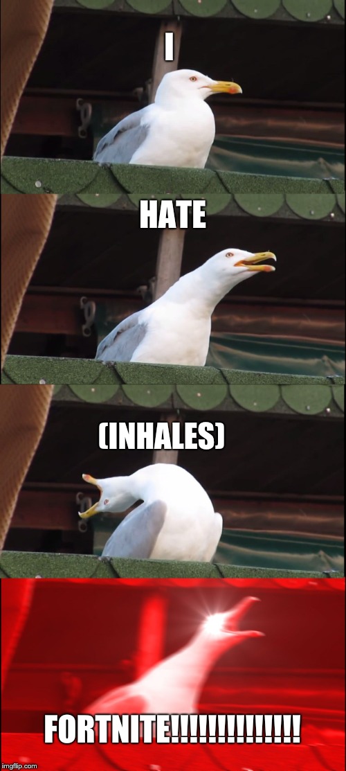 Inhaling Seagull | I; HATE; (INHALES); FORTNITE!!!!!!!!!!!!!! | image tagged in memes,inhaling seagull | made w/ Imgflip meme maker