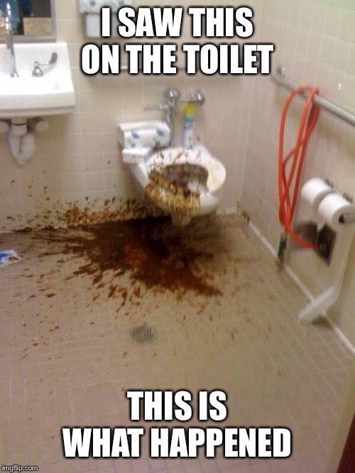 Girls poop too | I SAW THIS ON THE TOILET THIS IS WHAT HAPPENED | image tagged in girls poop too | made w/ Imgflip meme maker