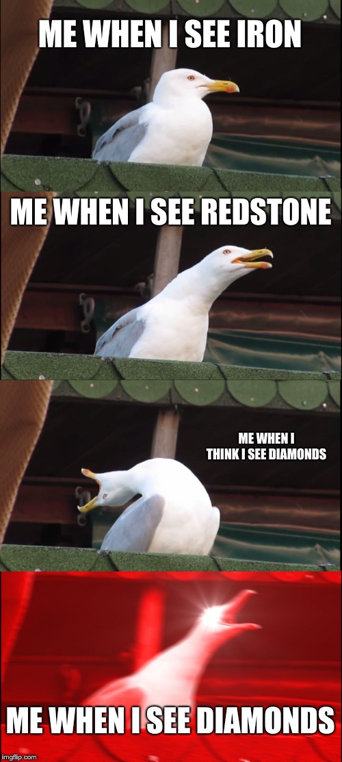 Inhaling Seagull Meme | ME WHEN I SEE IRON; ME WHEN I SEE REDSTONE; ME WHEN I THINK I SEE DIAMONDS; ME WHEN I SEE DIAMONDS | image tagged in memes,inhaling seagull | made w/ Imgflip meme maker