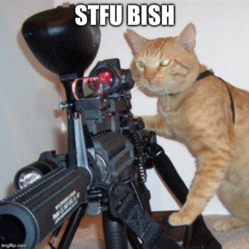 cat with gun | STFU BISH | image tagged in cat with gun | made w/ Imgflip meme maker