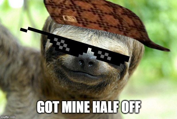 swag sloth with haircut | GOT MINE HALF OFF | image tagged in swag sloth with haircut | made w/ Imgflip meme maker