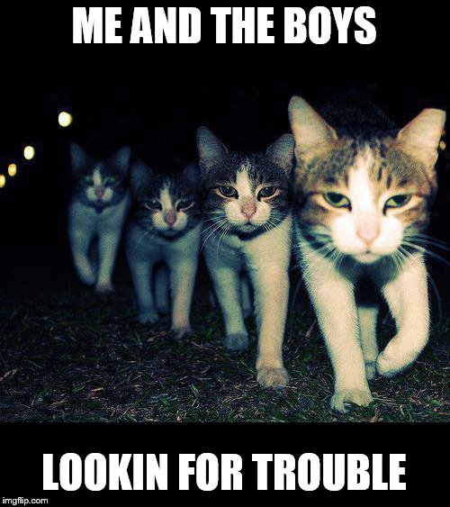 ++++++++++++++++++ | ME AND THE BOYS; LOOKIN FOR TROUBLE | image tagged in memes,wrong neighboorhood cats,me and the boys,nixieknox | made w/ Imgflip meme maker