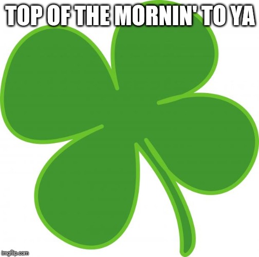 Irish  | TOP OF THE MORNIN' TO YA | image tagged in irish | made w/ Imgflip meme maker
