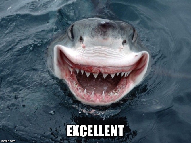 Happy Shark | EXCELLENT | image tagged in happy shark | made w/ Imgflip meme maker