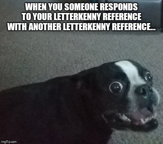 Letterkenny | WHEN YOU SOMEONE RESPONDS TO YOUR LETTERKENNY REFERENCE WITH ANOTHER LETTERKENNY REFERENCE... | image tagged in letterkenny | made w/ Imgflip meme maker