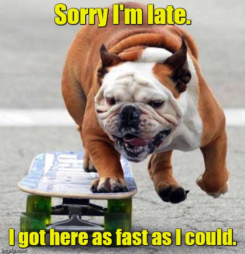Skateboarding bulldog hopes he didn't miss anything | Sorry I'm late. I got here as fast as I could. | image tagged in memes,funny dogs,dogs,skateboarding,cute dogs | made w/ Imgflip meme maker
