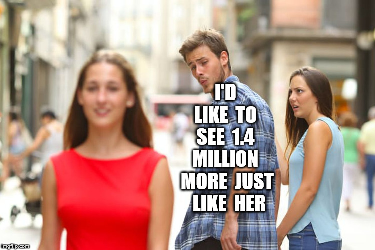 Distracted Boyfriend Meme | I'D  LIKE  TO  SEE  1.4  MILLION  MORE  JUST  LIKE  HER | image tagged in memes,distracted boyfriend | made w/ Imgflip meme maker