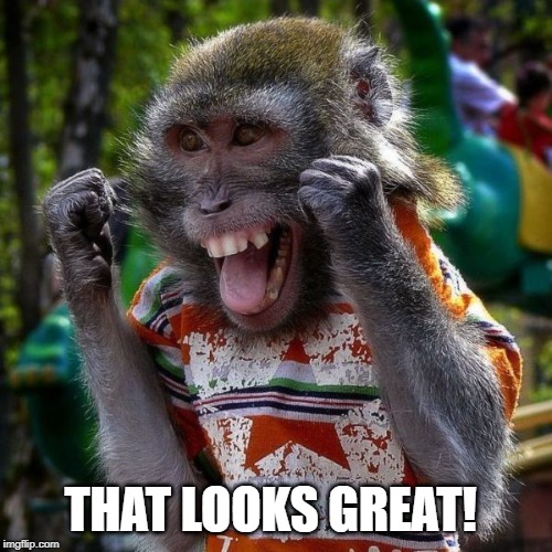 Excited Monkey | THAT LOOKS GREAT! | image tagged in excited monkey | made w/ Imgflip meme maker