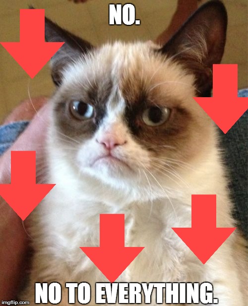 Grumpy Cat Meme | NO. NO TO EVERYTHING. | image tagged in memes,grumpy cat | made w/ Imgflip meme maker