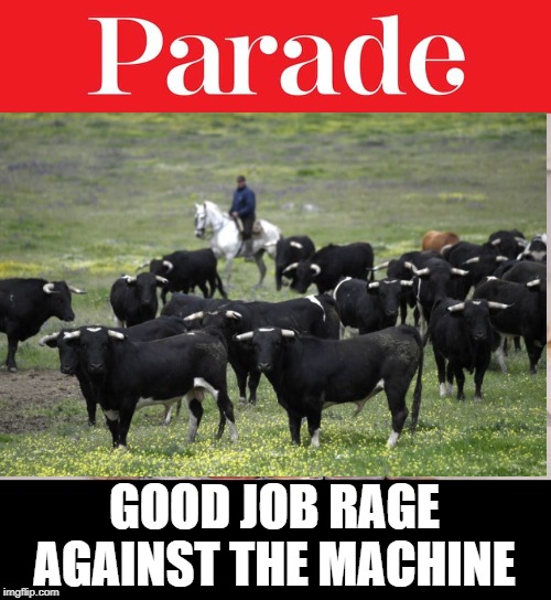 They Made the Cover! | GOOD JOB RAGE AGAINST THE MACHINE | image tagged in bulls,magazines | made w/ Imgflip meme maker