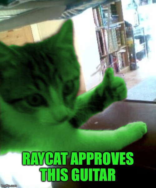 thumbs up RayCat | RAYCAT APPROVES THIS GUITAR | image tagged in thumbs up raycat | made w/ Imgflip meme maker