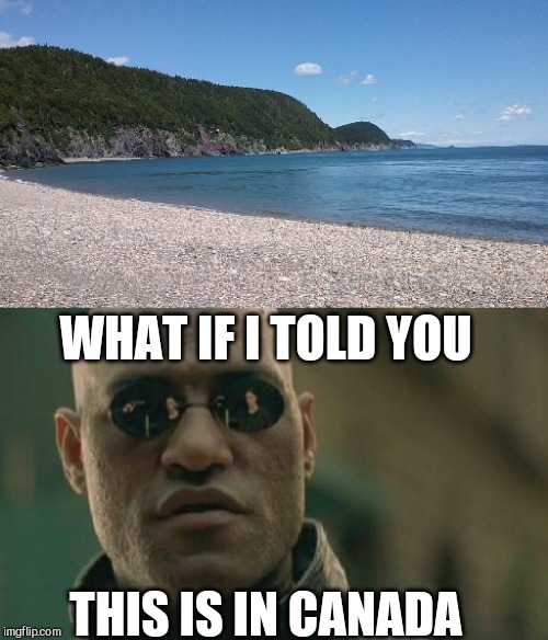That red pill tasted like syrup... | WHAT IF I TOLD YOU; THIS IS IN CANADA | image tagged in memes,matrix morpheus,canada,what if i told you | made w/ Imgflip meme maker