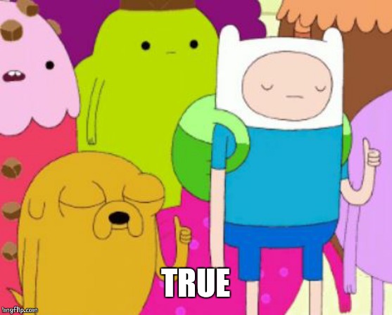 THUMBS UP FIN AND JAKE | TRUE | image tagged in thumbs up fin and jake | made w/ Imgflip meme maker