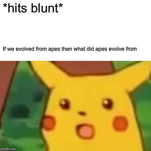 Surprised Pikachu Meme | *hits blunt*; If we evolved from apes then what did apes evolve from | image tagged in memes,surprised pikachu | made w/ Imgflip meme maker