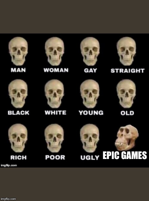idiot skull | EPIC GAMES | image tagged in idiot skull | made w/ Imgflip meme maker