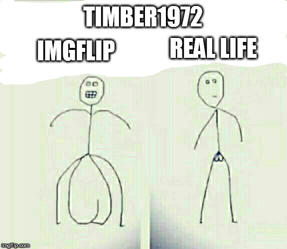 Brave v. IRL | TIMBER1972; REAL LIFE; IMGFLIP | image tagged in brave v irl,brave vs irl,timber1972,imgflip,real life,internet | made w/ Imgflip meme maker