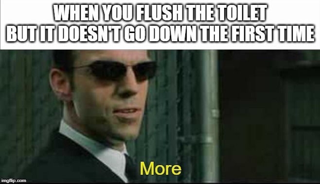 Mr Smith More | WHEN YOU FLUSH THE TOILET BUT IT DOESN'T GO DOWN THE FIRST TIME | image tagged in mr smith more | made w/ Imgflip meme maker