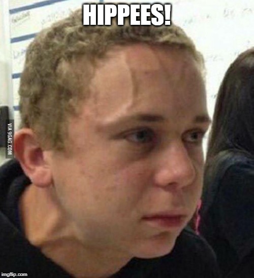 Angry man | HIPPEES! | image tagged in angry man | made w/ Imgflip meme maker