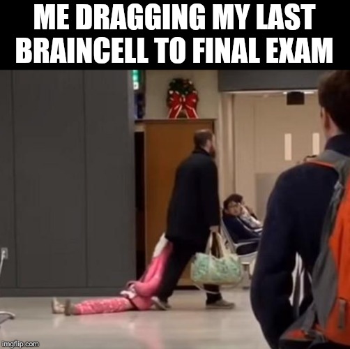 ME DRAGGING MY LAST BRAINCELL TO FINAL EXAM | image tagged in funny | made w/ Imgflip meme maker