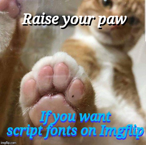 Cat paws | Raise your paw; Raise your paw; If you want script fonts on Imgflip; If you want script fonts on Imgflip | image tagged in cat paws | made w/ Imgflip meme maker