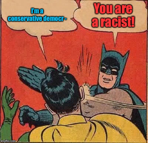 Replaced by Bernie | I’m a conservative democr -; You are a racist! | image tagged in memes,batman slapping robin,conservative democrat,racist | made w/ Imgflip meme maker