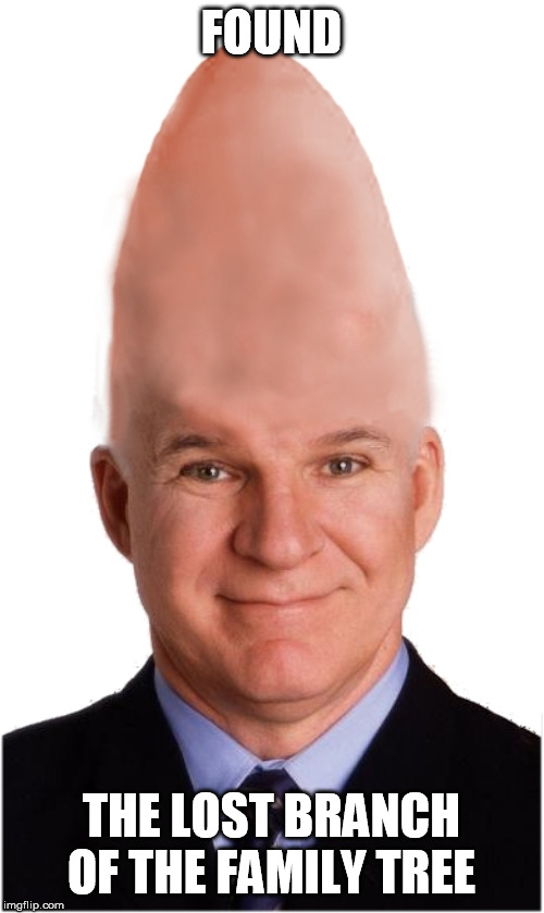 Steve Conehead Martin | FOUND THE LOST BRANCH OF THE FAMILY TREE | image tagged in steve conehead martin | made w/ Imgflip meme maker