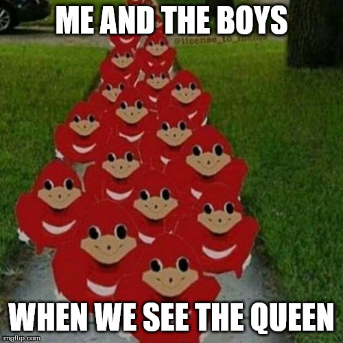Ugandan knuckles army | ME AND THE BOYS; WHEN WE SEE THE QUEEN | image tagged in ugandan knuckles army | made w/ Imgflip meme maker