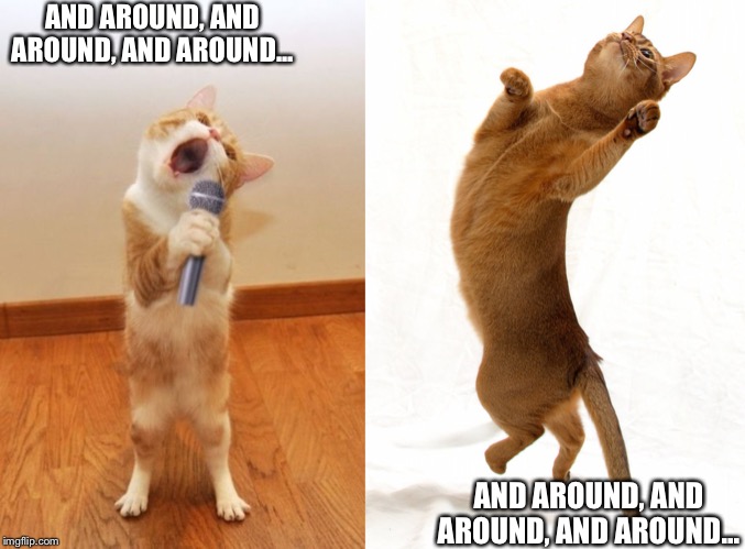 And Around and Around | AND AROUND, AND AROUND, AND AROUND... AND AROUND, AND AROUND, AND AROUND... | image tagged in around and around,cats,funny cats,spinning,singing | made w/ Imgflip meme maker
