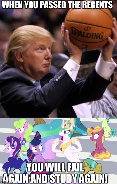 Regents pass exam | WHEN YOU PASSED THE REGENTS; YOU WILL FAIL AGAIN AND STUDY AGAIN! | image tagged in trump basketball,princess celestia,twilight sparkle,starlight glimmer,mlp fim,my little pony you failed the ap exam | made w/ Imgflip meme maker