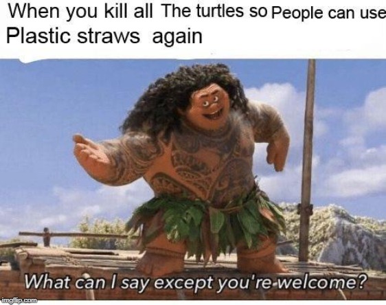 You're welcome! | image tagged in wtf,lol,funny,humor,moana,meme | made w/ Imgflip meme maker