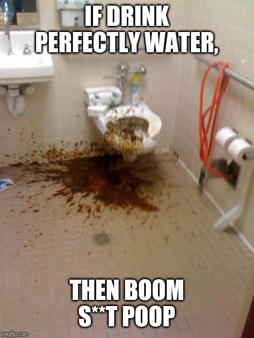 Girls poop too | IF DRINK PERFECTLY WATER, THEN BOOM S**T POOP | image tagged in girls poop too | made w/ Imgflip meme maker