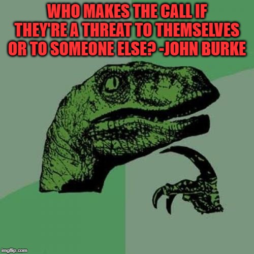 philosoraptor | WHO MAKES THE CALL IF THEY'RE A THREAT TO THEMSELVES OR TO SOMEONE ELSE? -JOHN BURKE | image tagged in philosoraptor,gun rights,safety | made w/ Imgflip meme maker