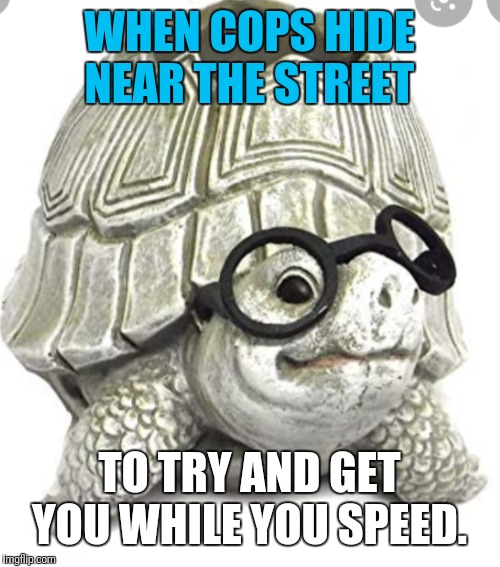 Blown cover. | WHEN COPS HIDE NEAR THE STREET; TO TRY AND GET YOU WHILE YOU SPEED. | image tagged in police | made w/ Imgflip meme maker