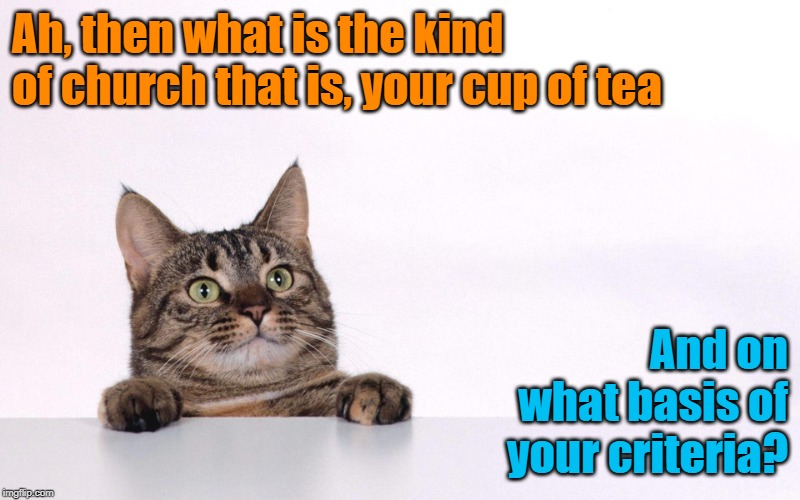 Curious cat | Ah, then what is the kind of church that is, your cup of tea And on what basis of your criteria? | image tagged in curious cat | made w/ Imgflip meme maker