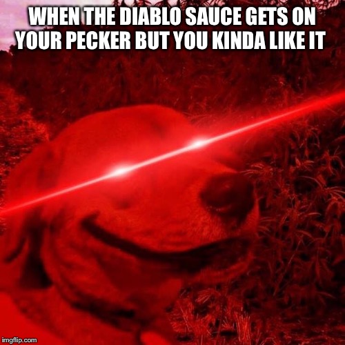 WHEN THE DIABLO SAUCE GETS ON YOUR PECKER BUT YOU KINDA LIKE IT | image tagged in diablo,sauce,fun | made w/ Imgflip meme maker