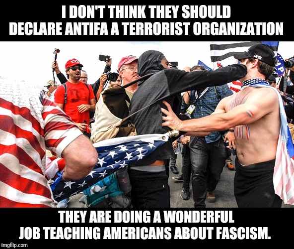 Bash the Fash! | I DON'T THINK THEY SHOULD DECLARE ANTIFA A TERRORIST ORGANIZATION; THEY ARE DOING A WONDERFUL JOB TEACHING AMERICANS ABOUT FASCISM. | image tagged in antifa,fascists,liberal hypocrisy | made w/ Imgflip meme maker