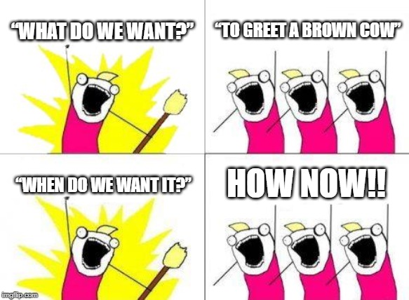 What Do We Want | “WHAT DO WE WANT?”; “TO GREET A BROWN COW”; HOW NOW!! “WHEN DO WE WANT IT?” | image tagged in memes,what do we want | made w/ Imgflip meme maker