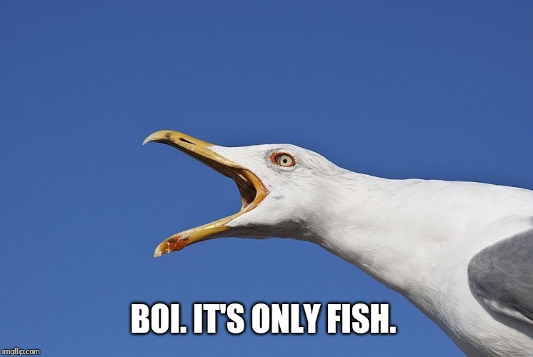 Sea Gull | BOI. IT'S ONLY FISH. | image tagged in sea gull | made w/ Imgflip meme maker