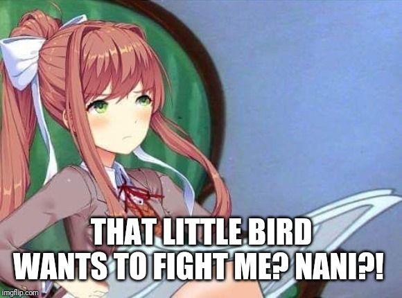 Newspaper Monika | THAT LITTLE BIRD WANTS TO FIGHT ME? NANI?! | image tagged in newspaper monika | made w/ Imgflip meme maker